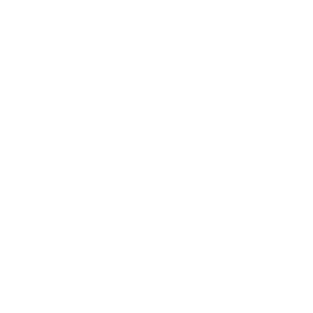 Black Rooster Audio